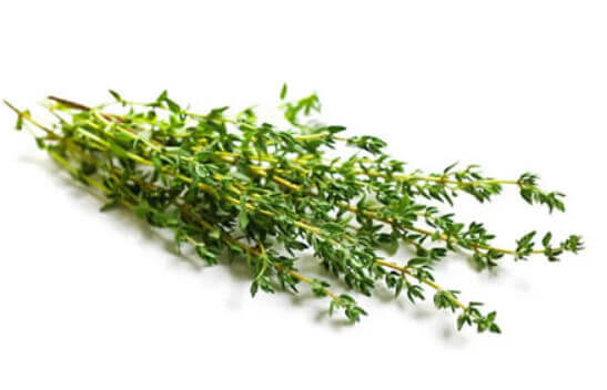 Thyme